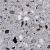 B-021-Stone-Hedge