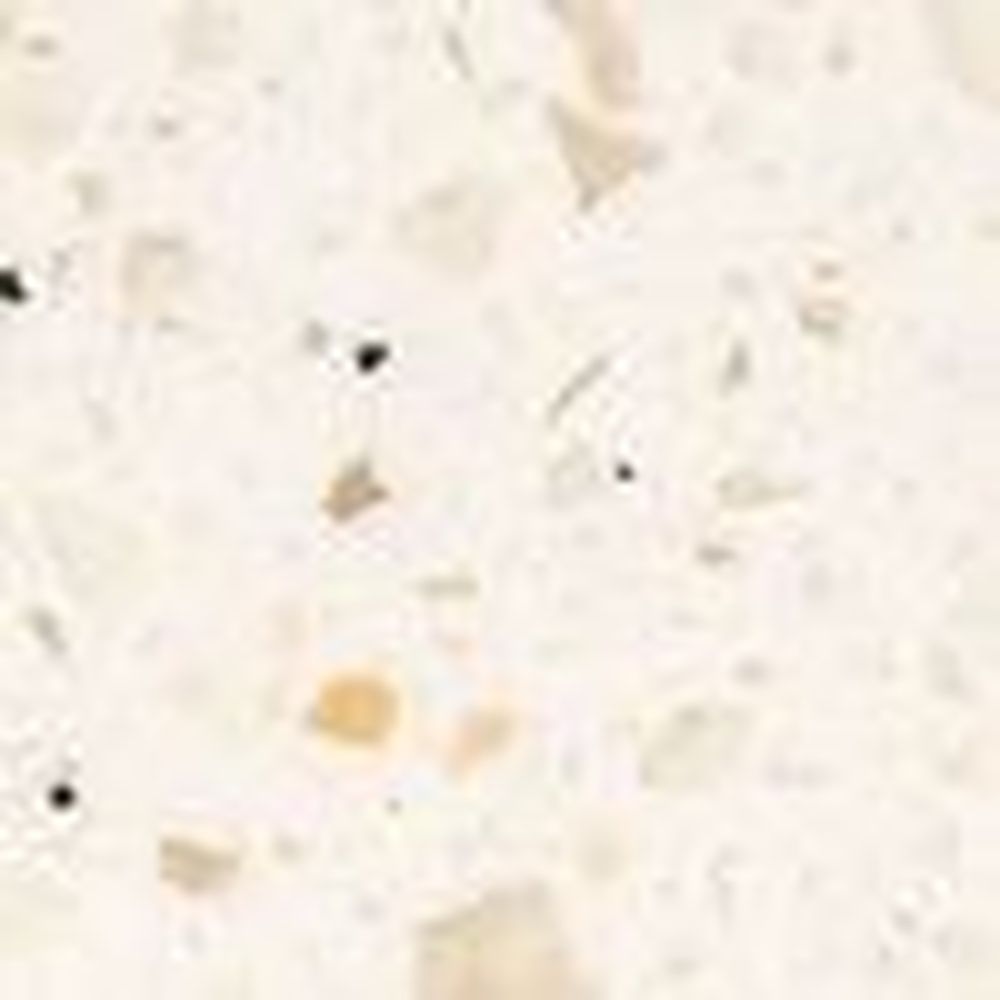 Akrilika K016 Whiteout