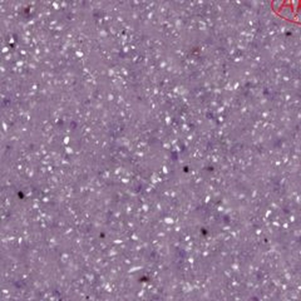 Akrilika A214 Lavender
