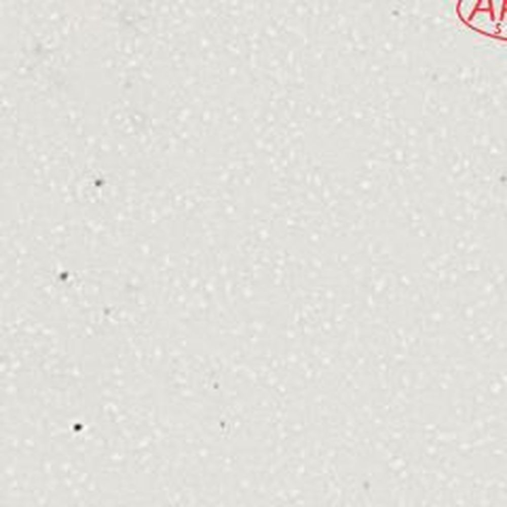 Akrilika A313 Frosty White