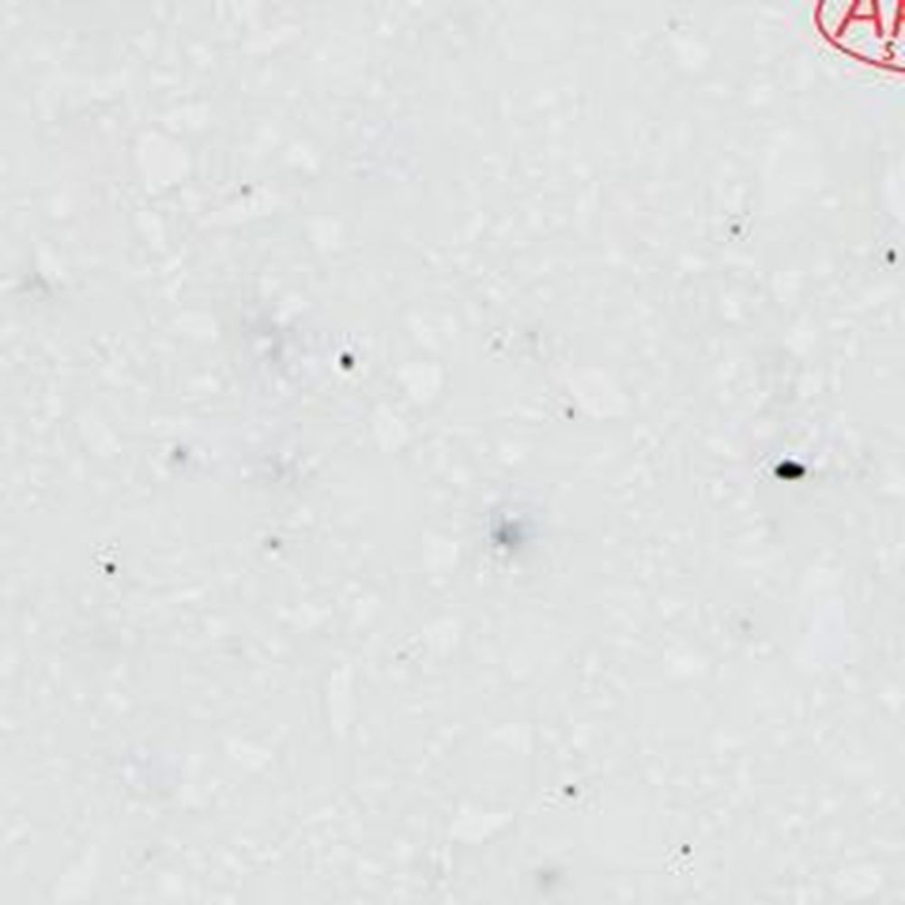 Akrilika A502 Everest