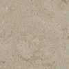 Corian Sagebrush