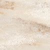 Corian Witch Hazel
