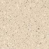 Corian Fossil