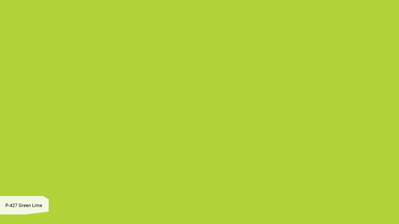 P 427 Дикий Лайм / Green Lime