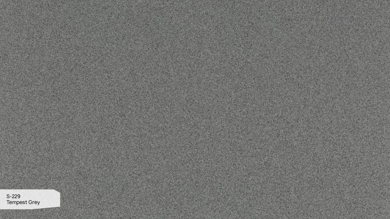 S 229 Пепельный Шторм / Tempest Grey