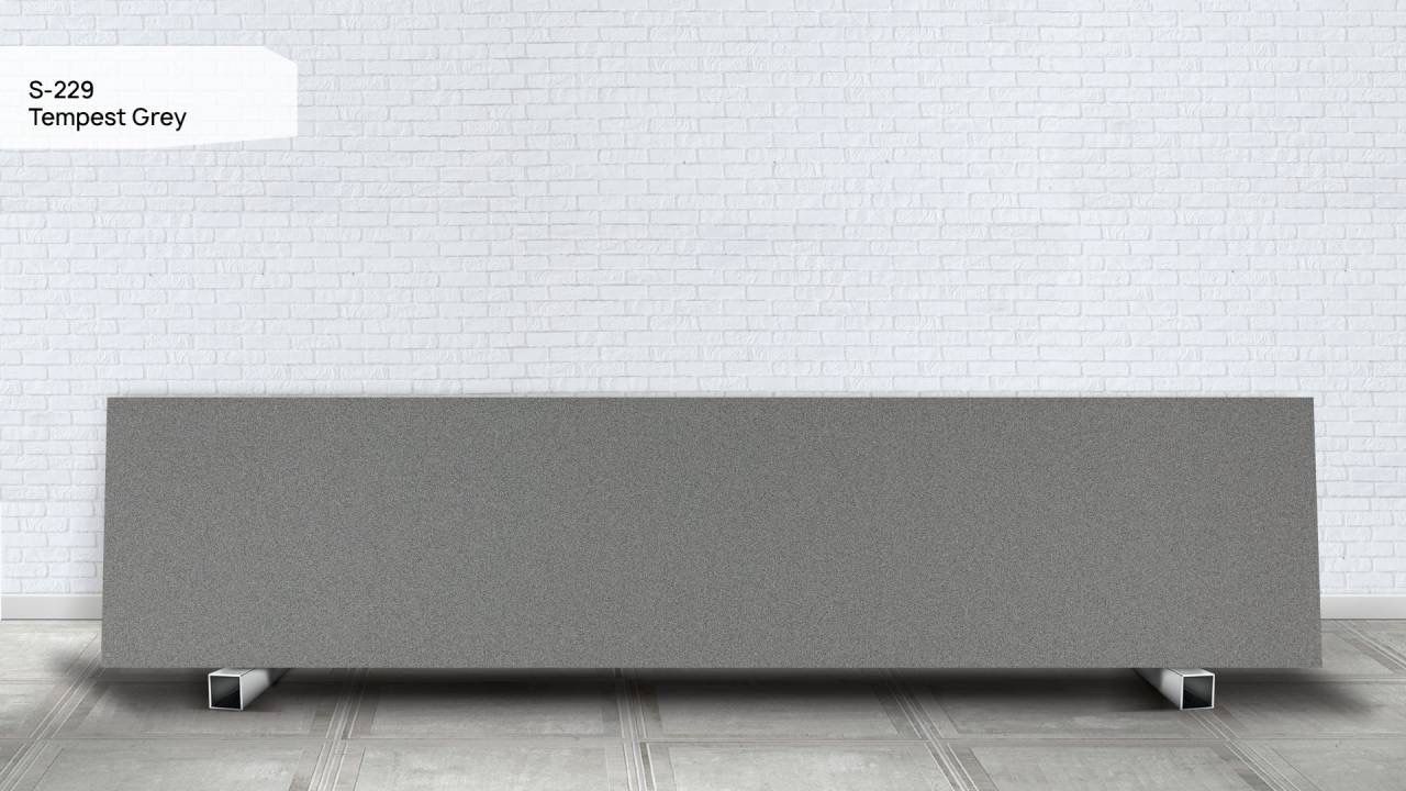 S 229 Пепельный Шторм / Tempest Grey