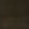 Staron Ss457