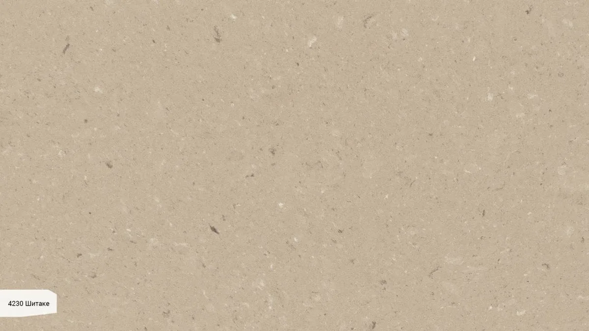 4230 Шитаке / Shitake