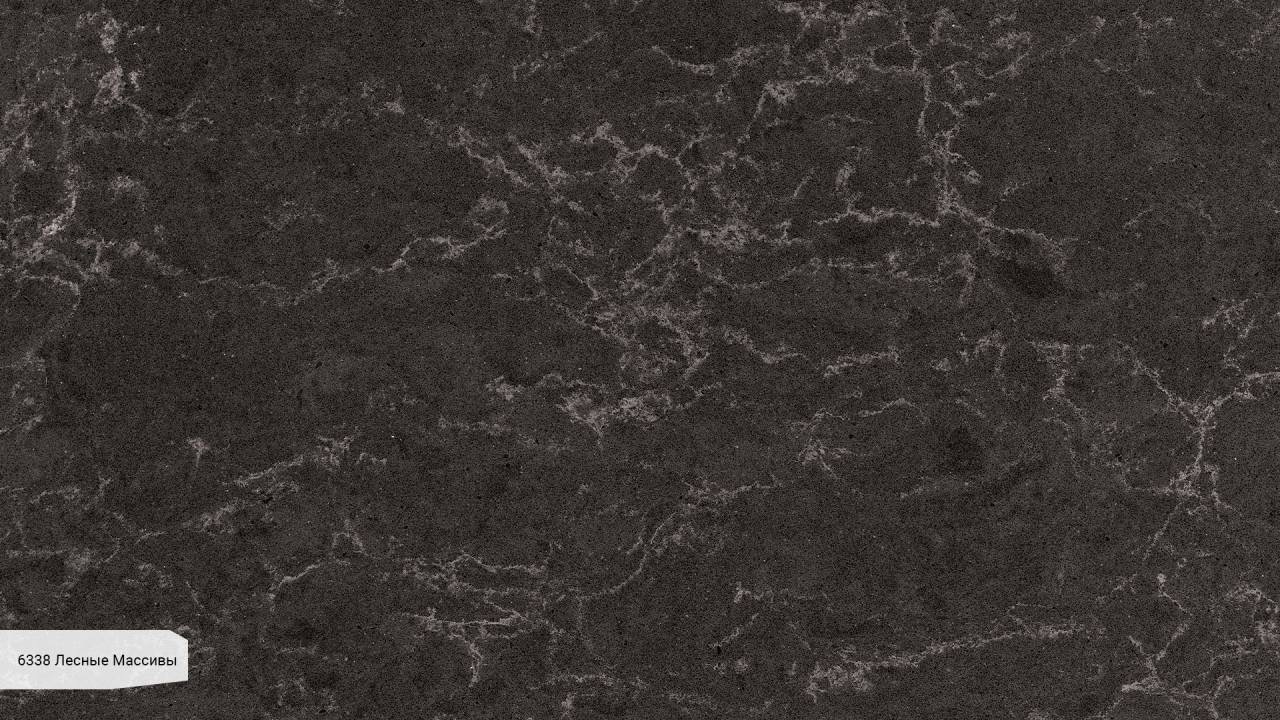 6338 Лесные Массивы / Woodlands