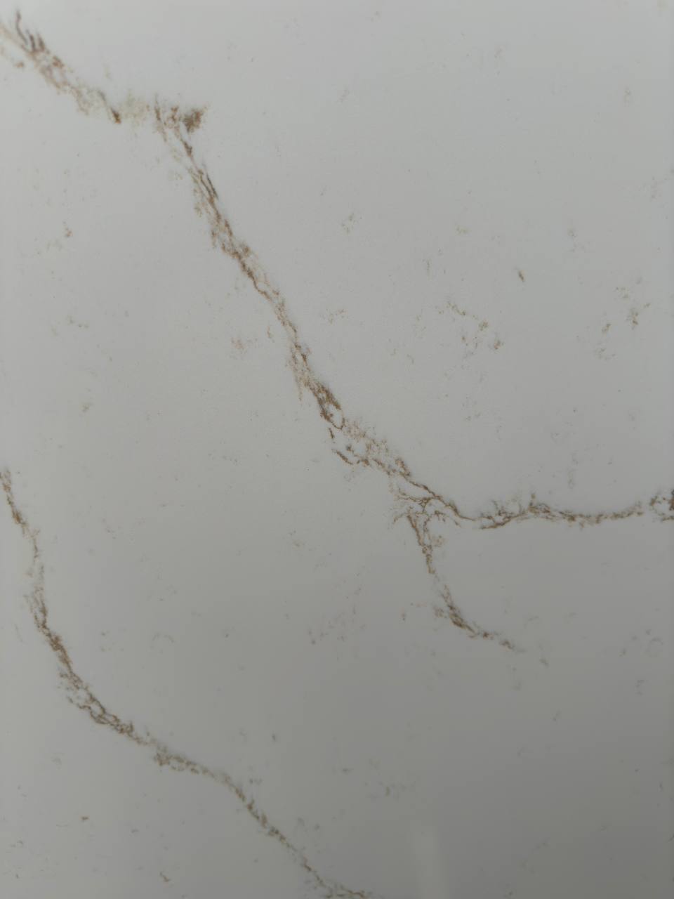 Coante 9003 3