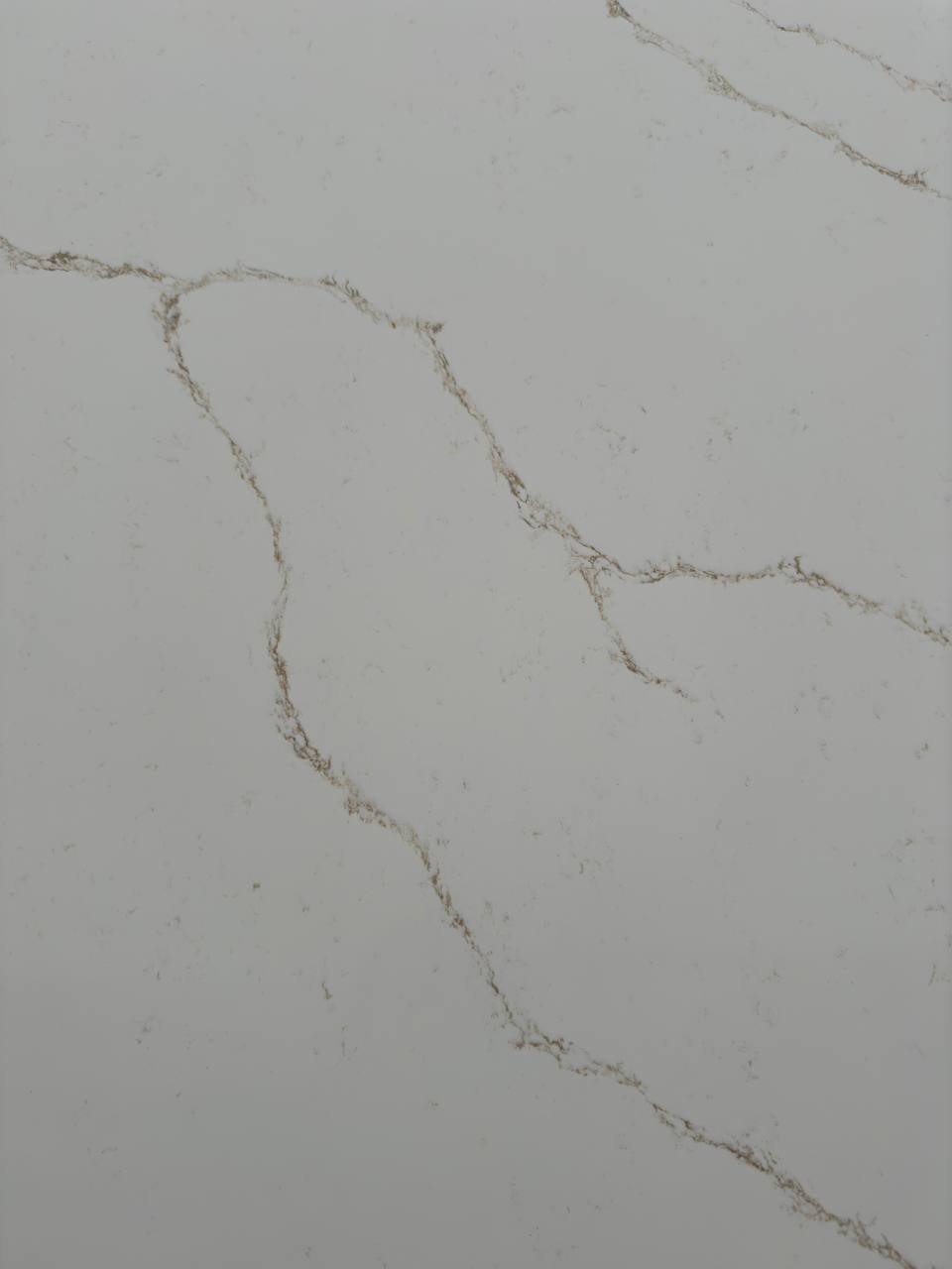 Coante 9003 4