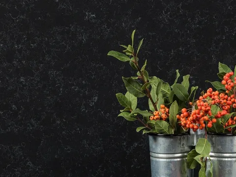 Berget — кварцевый агломерат